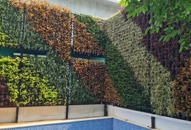 lawn grass suppliers in Rajahmundry, lawn grass suppliers Rajahmundry