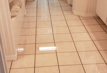 Flooded home or business