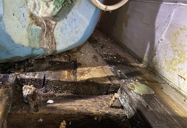 Leaking hot water cylinder from the immersion heater
