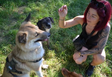 Dogz' Erding Hunde-Ernährungsberatung