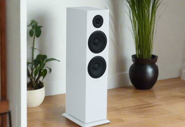 Floor Standing Speakers