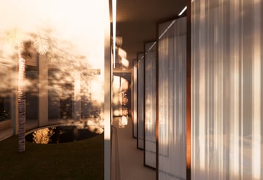 Sunlit courtyard with palm tree, UAE sustainable home