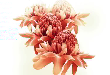 Sothys