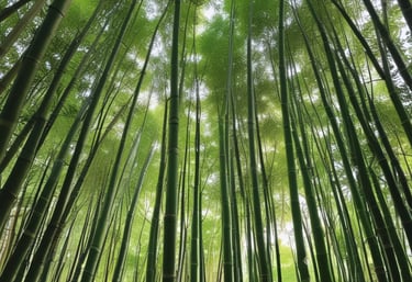 A team working in the lush bamboo forests of Oxapampa, carefully inspecting bamboo stalks.