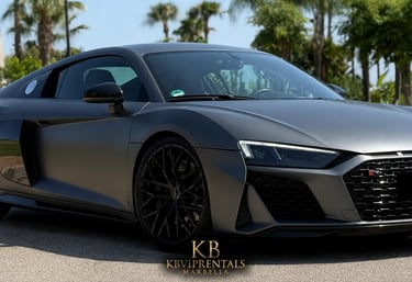 Matte grey Audi R8 luxury sports car rental parked outdoors in Marbella with palm trees in the background.