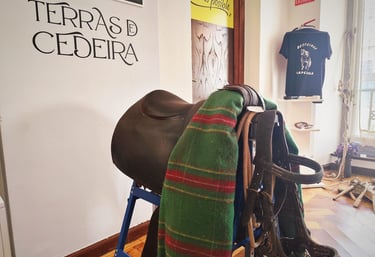 Exposiciones temporales Museo Terras de Cedeira