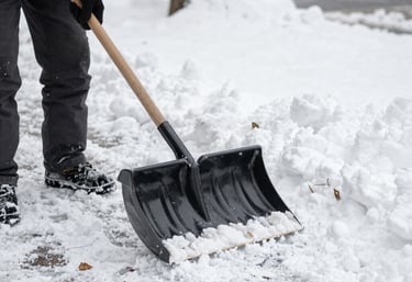 Close-up of freshly pruned shrubs glowing in the afternoon sun.