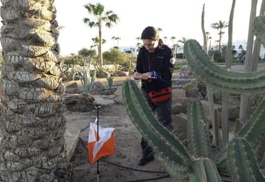 Crtanje karata u Egiptu