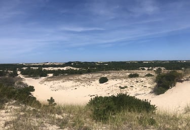 Cape Cod Outer Cape beach with dunes, ocean waves, and coastal grasses along a natural walking trail