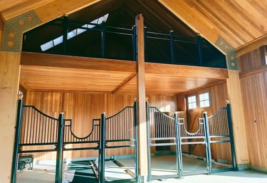 stables Mangawhai builder