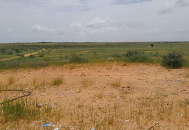 Domaine de 30 000 ha légèrement valonné