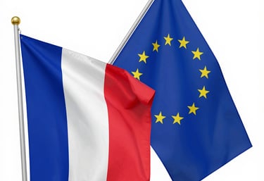 Close-up of a hand holding a wooden toy with a French flag sticker.