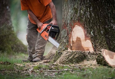 alt="Abattage d’arbres en toute sécurité en Haute-Savoie Annecy"
