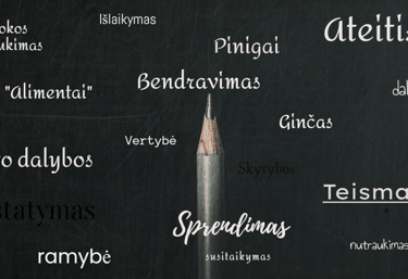 verike gincu sprendimas vaizdinis paveikslas aprasyti teisiniai veiksmai