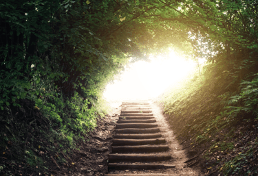 Camino ascendente con escalones. Todo está rodeado de vegetación, pero al fondo se ve una luz