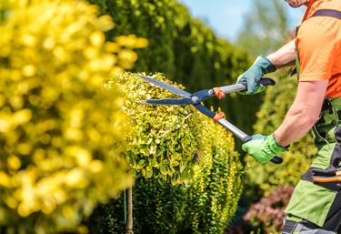 Elite Maintenance Landscaping