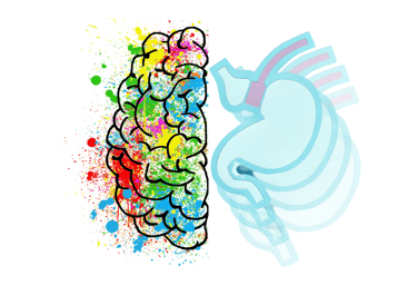 a brain map of a brain with a brain map of the brain