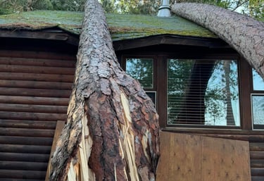 tree damage cottage