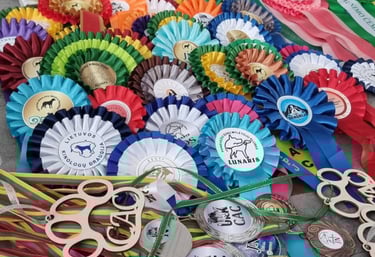 Chinese Crested champion Grakstuole Kennel