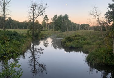 Wetlands Permitting Concord, Massachusetts