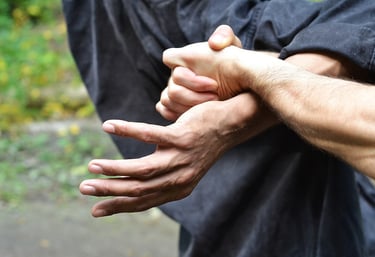 taijutsu