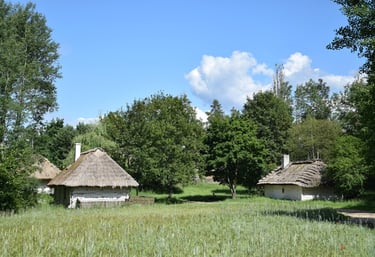 Wysoka trawa. Pośród niej drewniane bielone domki kryte strzechą. Muzeum wsi Kieleckiej.