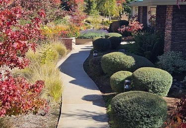Commerical Landscape Maintenance
