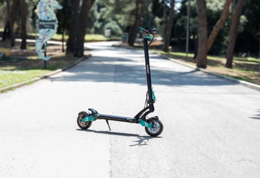 Black and teal VSETT electric scooter parked on a paved park path surrounded by trees.
