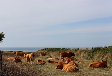 La Manche