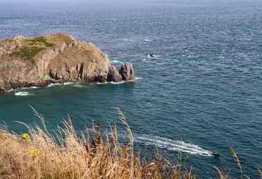 Nez de Jobourg