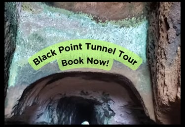 Black Point Tunnel Tour with Trupp Taxi Tours SVG