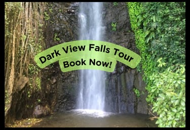 Dark View Falls Tour with Trubb Taxi Tours SVG