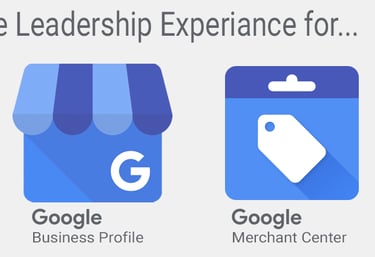 Direct Google Leadership Experience for Google Wallet, Google Business Profile, Google Shopping