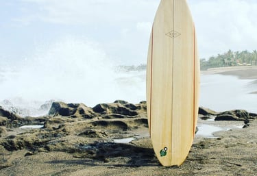 Handmade balsa surfboard standing on coastal rocks