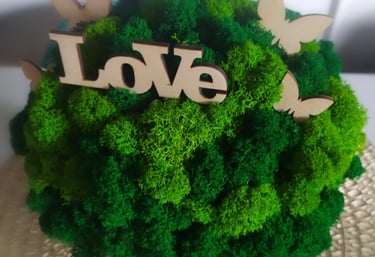 Mech chrobotek w betonowej doniczce