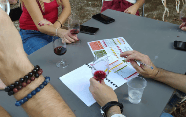 groupe de personnes sur une table devinant les vins de la région d'Aix