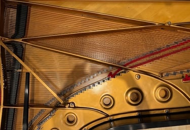 9 foot Concert grand during tuning