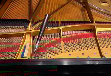 Paradise Piano tuning