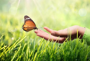 safe trauma processing and memory integration