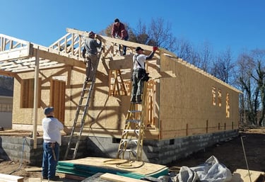 Habitat roof build