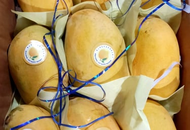 Mangoes available in Qatar 