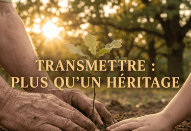 Transmission patrimoine et succession familiale à Montpellier : préparer l'avenir.