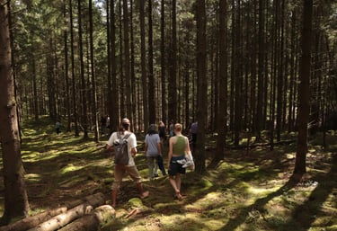 a group of people walking through a forest