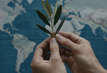 A close-up of a pair of hands holding a small olive branch over a world map, soft cinematic lighting, global Spanish-speaking context, colors of dark blue and gray-blue.