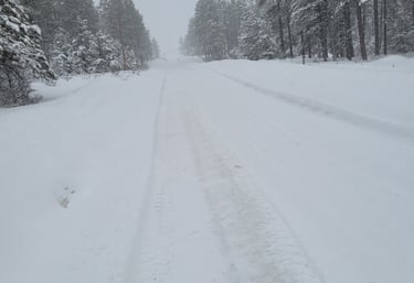 Large snow fall on a road