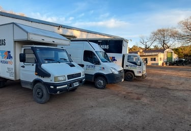 unidades mudanpro camiones