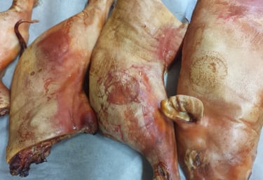 Come viene chiamato il porceddu in Sardegna: porcheddu, porcetto, procheddu