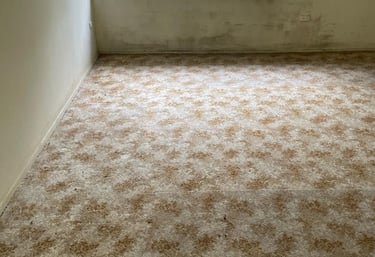 Westleigh house rubbish clearing