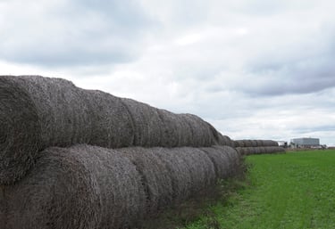 una pila de fardos en un campo