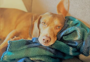 Long Day